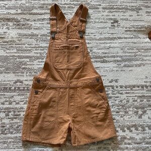 Patagonia Brown Women's Shorts Overalls